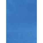 Botero #022 Muslin Background (5x7', Turquoise Blue)