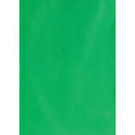 Botero #026 Muslin Background (5x7', Chroma Green)