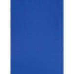 Botero #027 Muslin Background (5x7', Chroma Blue)
