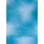 Botero #031 Muslin Background (5x7', Dark, Light Turquoise)