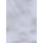 Botero #038 Muslin Background (5x7', Dark, Medium Grey)