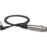 Hosa Technology Stereo Mini Angled Male to XLR Female Cable - 2'