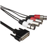 Lynx Studio Technology CBL-L22Audio DB-25 Male to 2 XLR Male & 2 XLR Female Audio Cable for L22 Audio Card - 6'