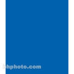Backdrop Alley Muslin Background - 10 x 24' - Chroma-Key Blue