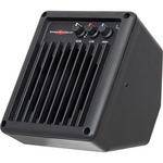 Galaxy Audio MSPA-DC Powered Micro Spot PA with 12V DC Input 