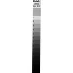 Kodak R14 Control Scale