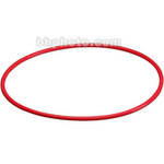 Olympus POL-E01B O-Ring for PT-E01(Rear Lid)