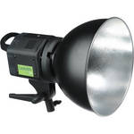 Lastolite Ray D8 500 Watt Tungsten Flood Light (120V)
