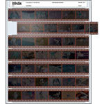 Print File Archival Storage Page for Negatives, 35mm - 100 Pack