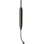 Earthworks C30 Hanging High Definition Choir Microphone (Hypercardioid) (Black)