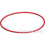 Olympus O-Ring for PT-030