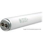 Logan Electric Replacement Lamp for Logan A3A Light Pad