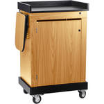 Oklahoma Sound Lectern -- Multi-Presentation Stand (Lt. Oak)