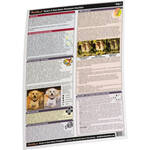 PhotoBert CheatSheet: Secrets of Great Digital Photography