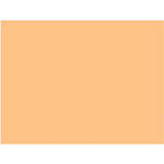 Rosco #3408 Filter - RoscoSun 1/2 CTO - 20x24"