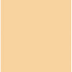 Rosco #3442 Filter - 1/2 Straw CTS - 20x24"