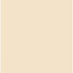 Rosco #3443 Filter - 1/4 Straw CTS - 20x24"