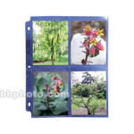 Archival Methods Print and Slide Pages (4 x 5" 50 Pack)