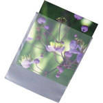 Archival Methods High-Density Poly Envelopes - 5.25 x 7.25" 100 Pack