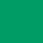 Rosco #89 Filter - Moss Green - 20x24"