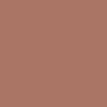 Rosco #99 Filter - Chocolate - 20x24"