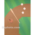 Studio Dynamics Canvas Scenic Background (10 x 10', Baseball Equipment )