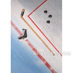 Studio Dynamics Canvas Scenic Background (10 x 10', Hockey Equipment )