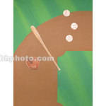 Studio Dynamics Canvas Scenic Background (10 x 12', Baseball Equipment )