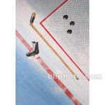 Studio Dynamics Canvas Scenic Background (10 x 12', Hockey Equipment )