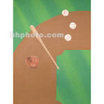 Studio Dynamics Canvas Scenic Background (10 x 16', Baseball Equipment )