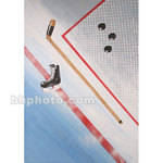 Studio Dynamics Canvas Scenic Background (10 x 16', Hockey Equipment )