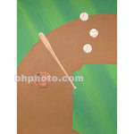 Studio Dynamics Canvas Scenic Background (10 x 18', Baseball Equipment )
