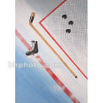 Studio Dynamics Canvas Scenic Background (10 x 18', Hockey Equipment )