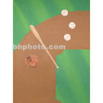 Studio Dynamics Canvas Scenic Background (10 x 24', Baseball Equipment )