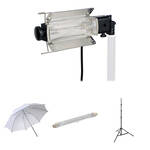 Lowel Tota-Light One-Light Kit