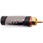 Monster Cable CableLinks Adapter - RCA Male to 1/8" TRS Stereo Mini Phone Female 