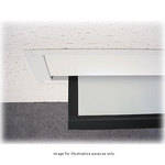 BEI Audio Visual Products Alpine XL Motorized Front Projection Screen (60x60")