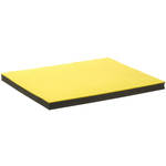 Seal /Bienfang Sponge Pad for 110S