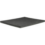 Seal /Bienfang Sponge Pad for 160M