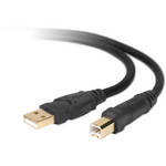 Belkin Gold Series Hi-Speed USB 2.0 Premium Cable A to B - 6'