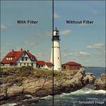 Schneider Solid Color Coral 1 Filter (77mm)