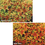 B+W 74mm (Drop in) 491 Redhancer Filter (Single Coated)