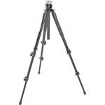 Manfrotto 190XPROB Pro Aluminum Tripod Legs (Black) -