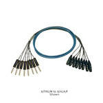 Whirlwind Medusa Multitrack 12 Channel 1/4" TRS Male to XLR Female Snake - 10'