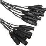 Whirlwind Medusa Multitrack 8 Channel XLR Male to XLR Female Snake - 10'