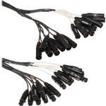 Whirlwind Medusa Multitrack 16 Channel XLR Male to XLR Female Snake - 10'