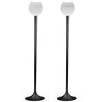 JBL CSSTAND Floor Stand (Pair)