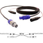 Pro Co Sound EC12 Siamese Twin AC & Audio Combo Cable - 50'