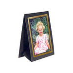 Collector's Gallery Grandeur Easel Frame -with Gold Foil Window Border  Model PF5130-46 - for 4 x 6" Print (Portrait Format)