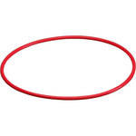 Olympus O-Ring for PT-031